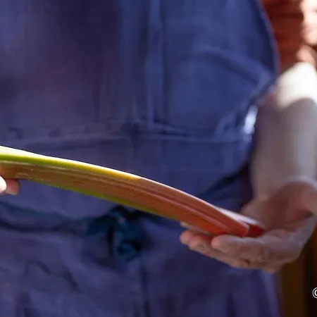 Couette-café Le Saltimbanque - Du Moulin