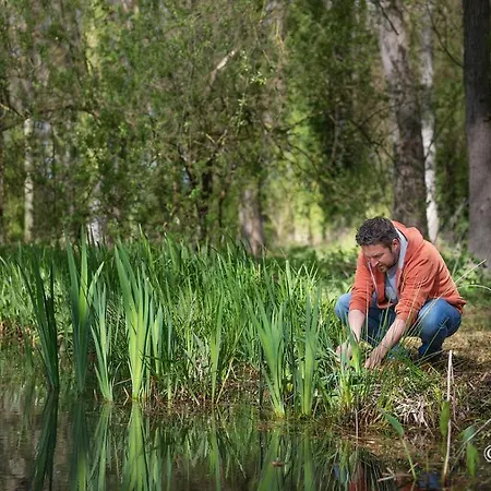 Couette-café Le Saltimbanque - Du Moulin 4*